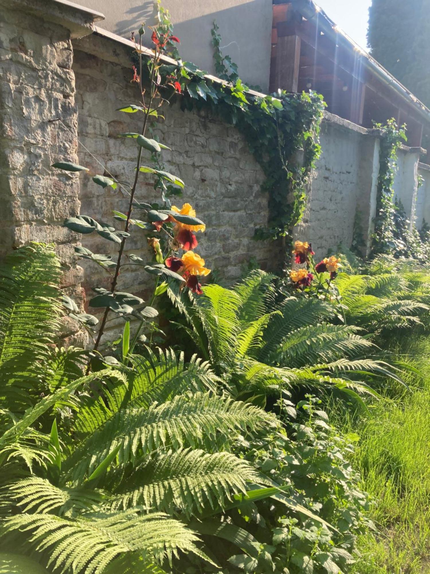 Medusa House Daire Estergon Dış mekan fotoğraf